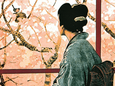 NOVARA: MADAMA BUTTERFLY 25-25 FEBBRAIO 2017